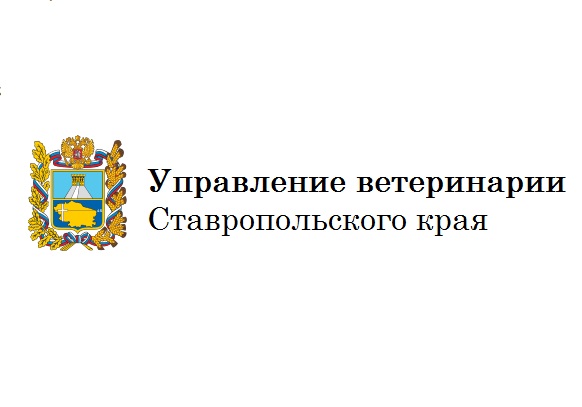 Краевое управление ветеринарии провело семинар-совещание для представителей бизнеса
